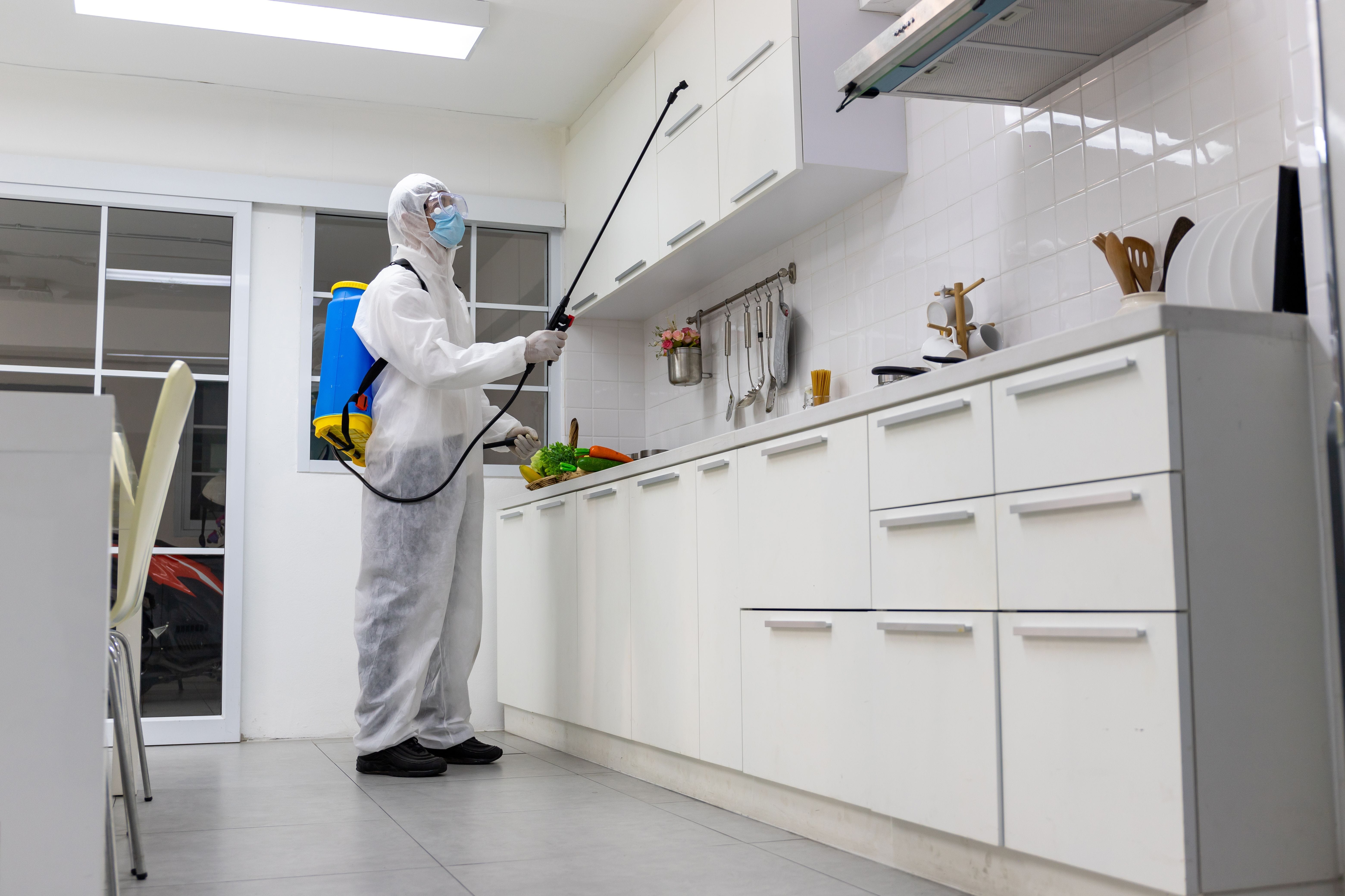 Disinfecting Cabinets